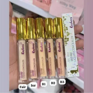 Kashees Concealer
